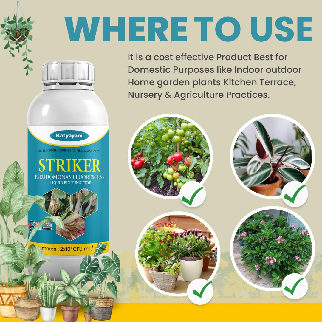 Katyayani Striker - Pseudomonas Fluorescence - Bio Fungicide