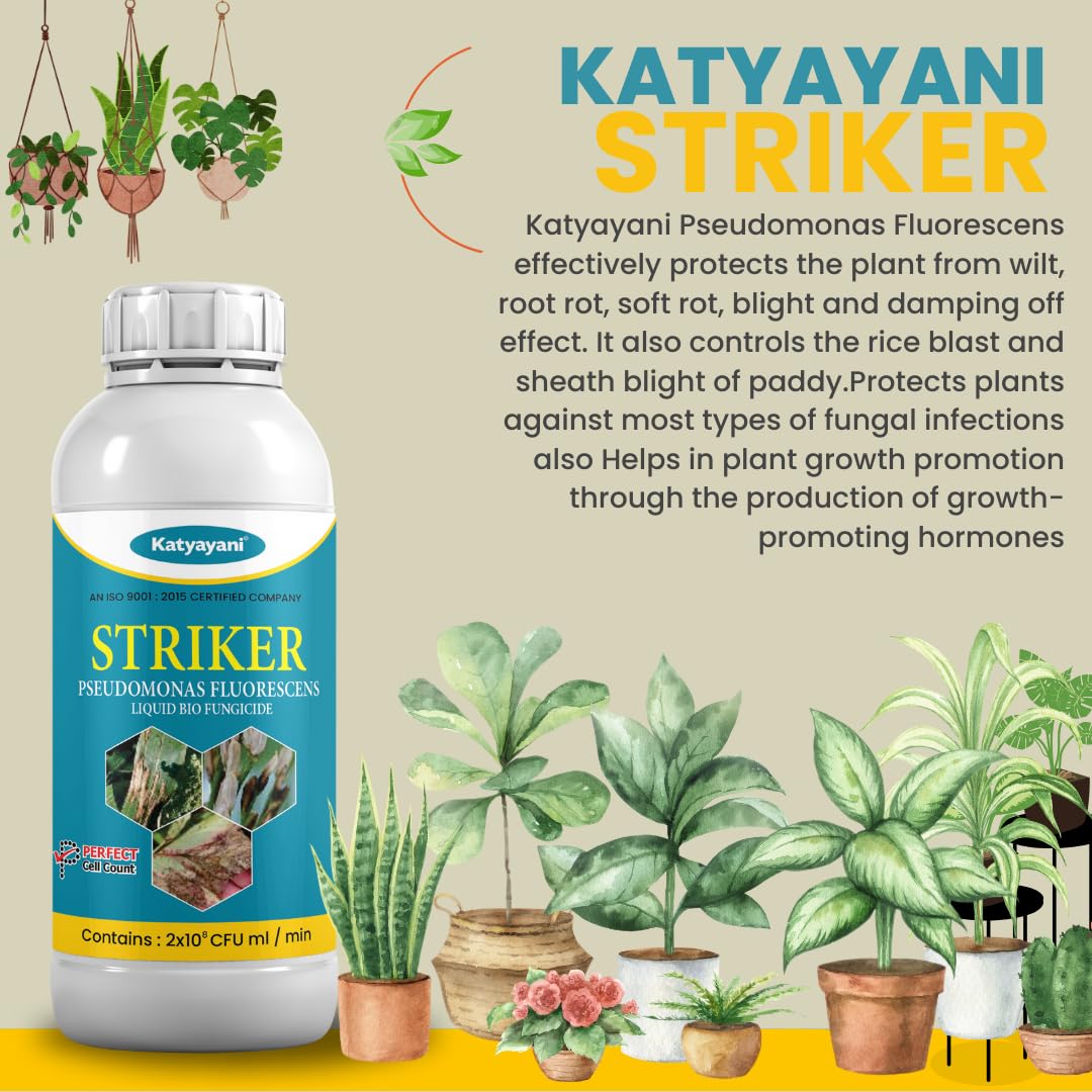 Katyayani Striker - Pseudomonas Fluorescence - Bio Fungicide