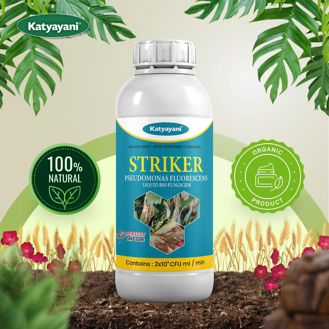 Katyayani Striker - Pseudomonas Fluorescence - Bio Fungicide