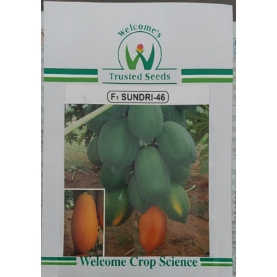 Papaya Sundri WS-46 10 grams
