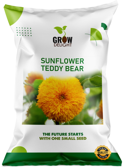 Grow Delight Imported Sunflower Teddy Bear