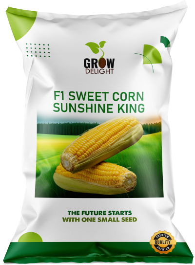 Sweet Corn F1 Sunshine King