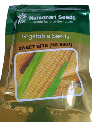Maize / Sweet Corn NS 8601 Sweetbite