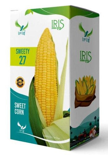 Sweet Corn F1 Iris Sweety-27