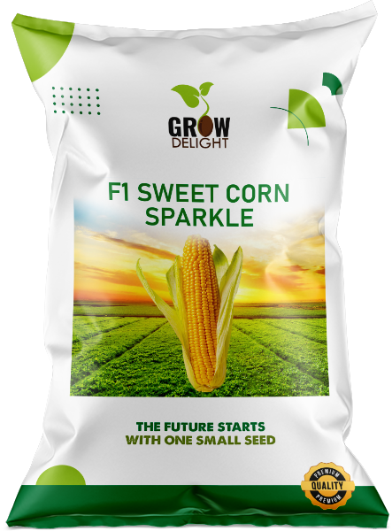 Sweet Corn F1 Sparkle