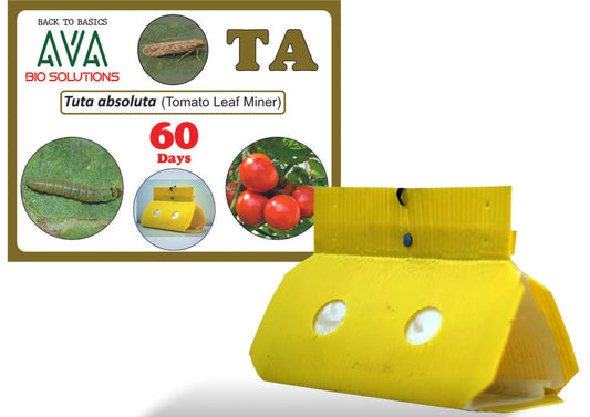 Ava Combo Pack of Delta Trap + TA Lure