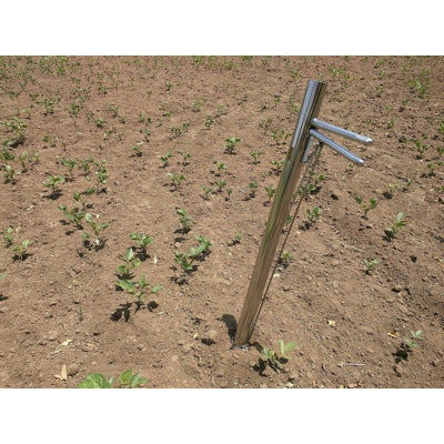 Vegetable Transplanter (Stainless Steel)