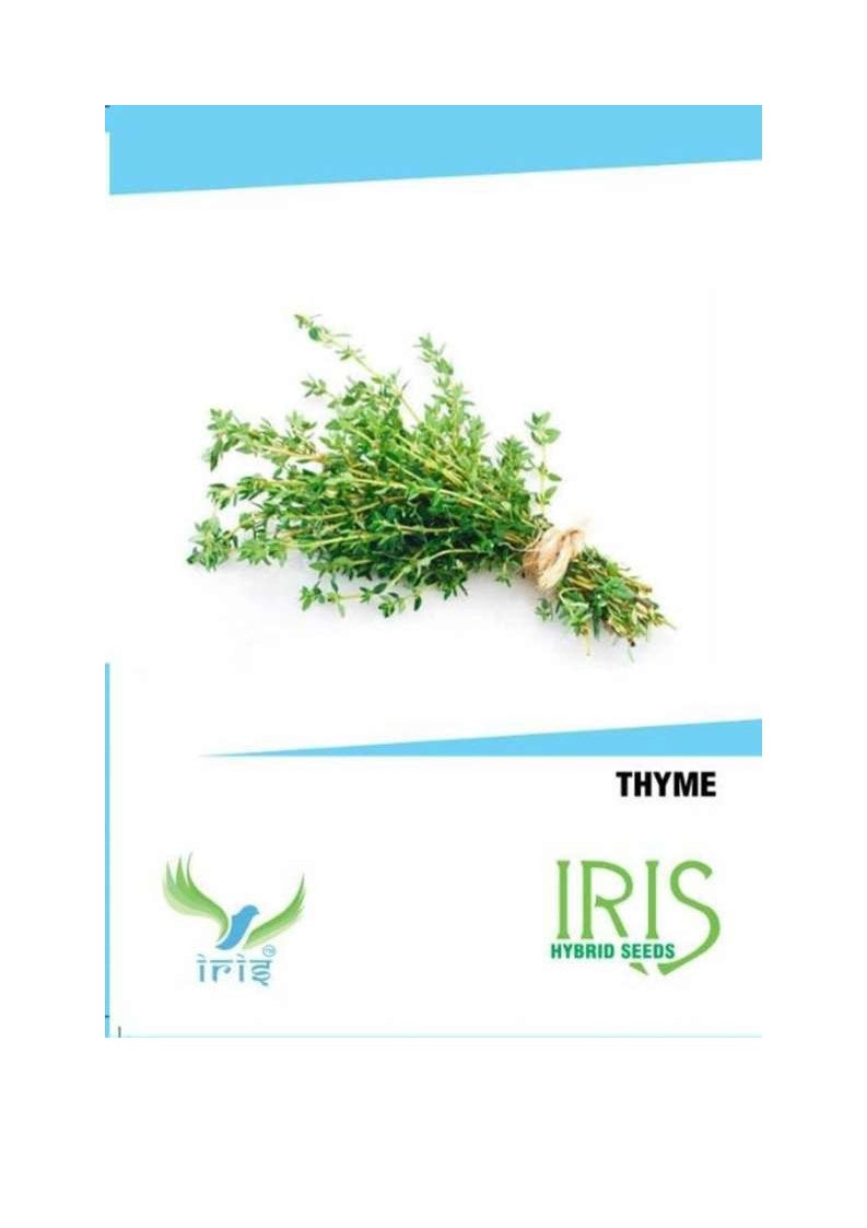 Iris Imported Thyme