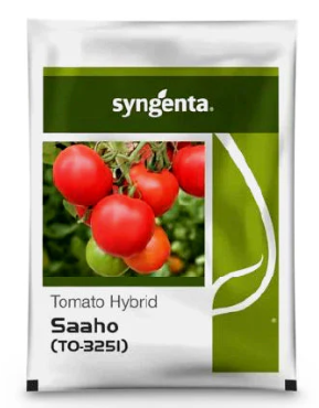 Tomato F1 Saaho (TO-325I) - 1500 Seeds (Syngenta Seeds)