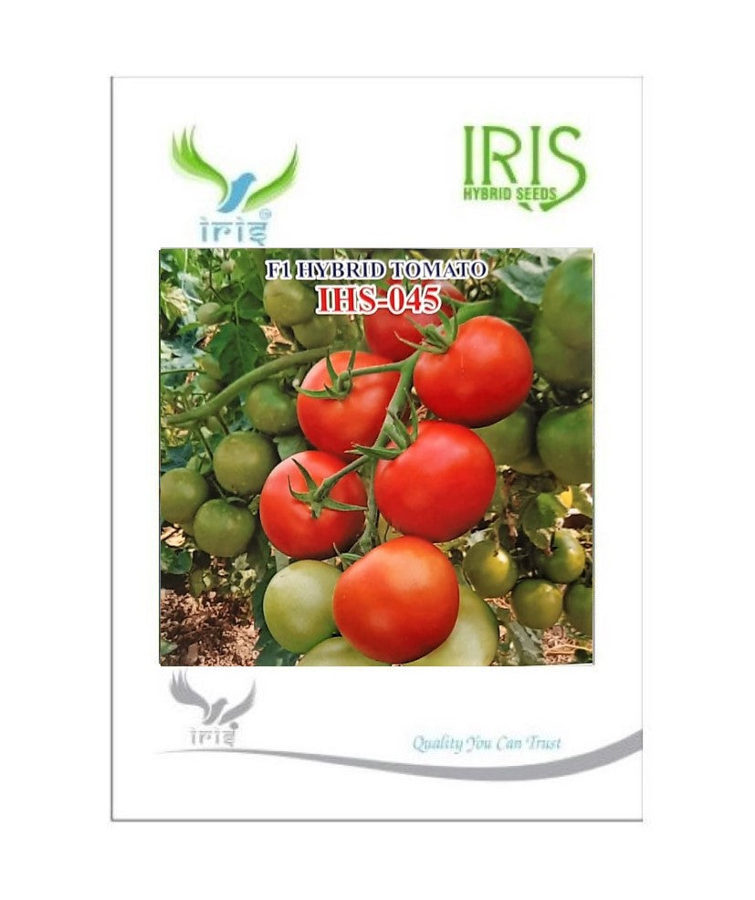 Tomato Iris F1 IHS-045 10 grams