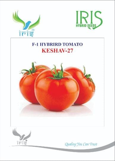Tomato Iris F1 Keshav 27