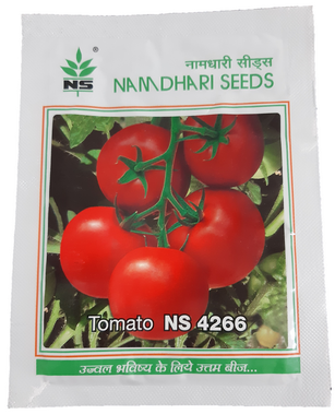 Tomato NS 4266 (Namdhari)