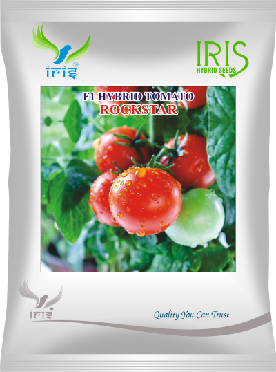 Tomato Iris F1 Rockstar 5 grams