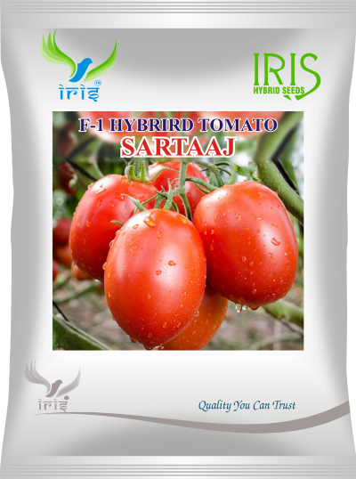 Tomato Iris F1 Sartaaj 5 grams