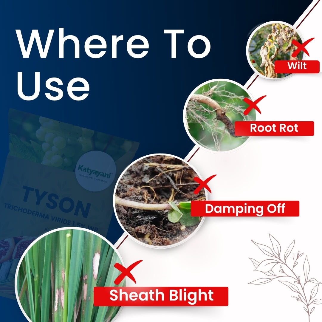 Katyayani Tyson - Trichoderma Viride | Bio Fungicide