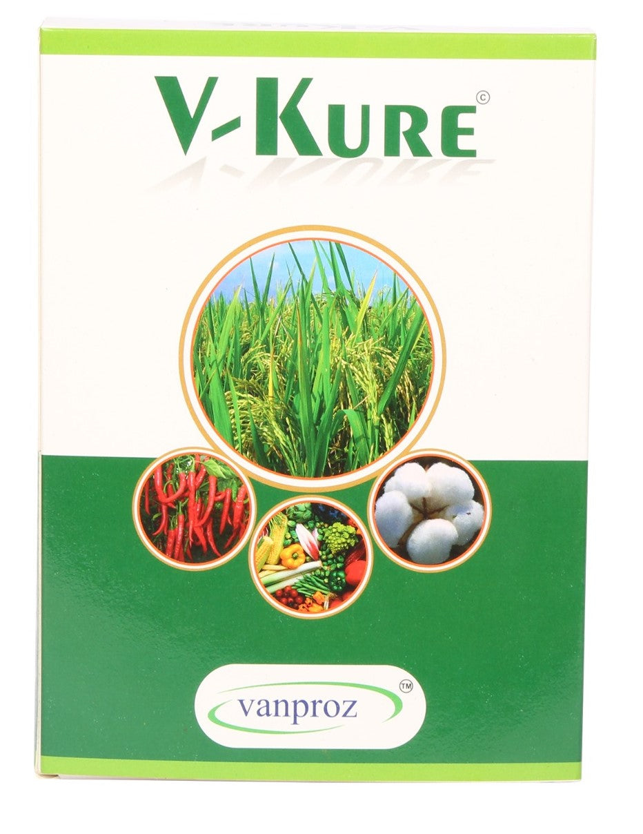 V-Kure Fungicide / Bactericide