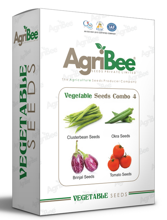 AgriBee F1 Kitchen Garden Vegetable Seeds Combo Pack – 4 Varieties