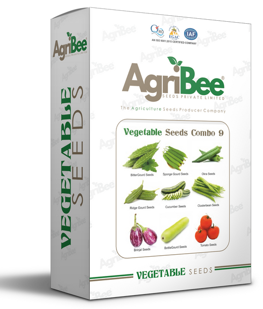 AgriBee F1 Kitchen Garden Vegetable Seeds Combo Pack – 9 Varieties