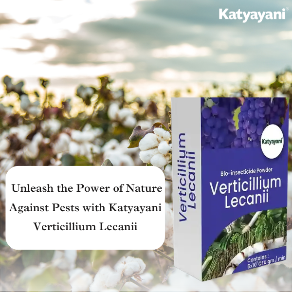 Katyayani Verticillium Lecanii Bio Pesticide