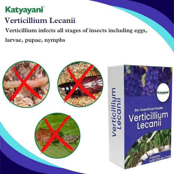 Katyayani Verticillium Lecanii Bio Pesticide