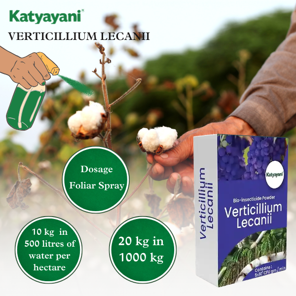 Katyayani Verticillium Lecanii Bio Pesticide