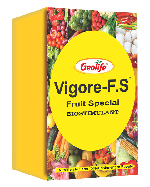Geolife Vigore Fruit Special 500 ml