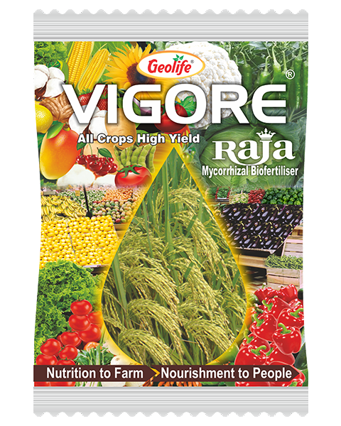 Geolife Vigore Raja -  Mycorrhizal Bio Fertilizer