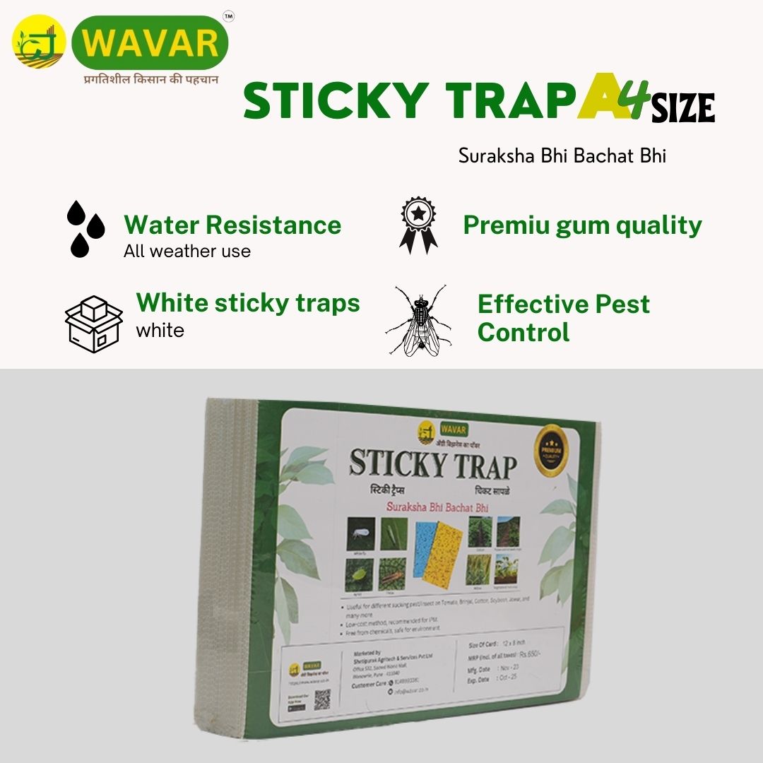 Wavar White Sticky Traps Non-Toxic, Chemical Free Insect Trap for Black Thrips and other Harmful Insects, 25 Sheets in One Bundle