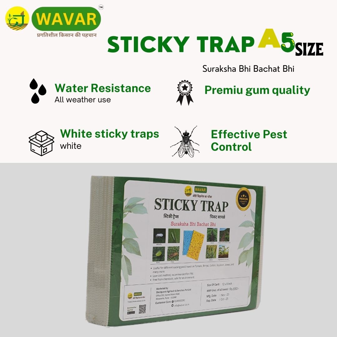 Wavar White Sticky Traps Non-Toxic, Chemical Free Insect Trap for Black Thrips and other Harmful Insects, 25 Sheets in One Bundle