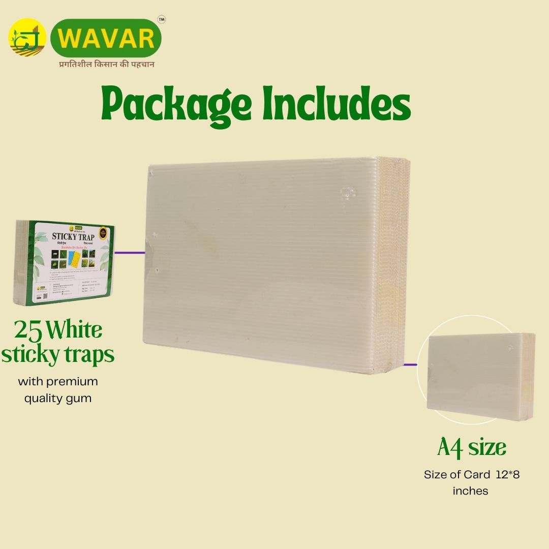 Wavar White Sticky Traps Non-Toxic, Chemical Free Insect Trap for Black Thrips and other Harmful Insects, 25 Sheets in One Bundle