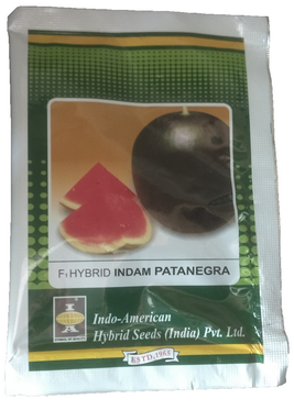 Watermelon Indam Patanegra