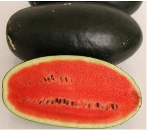 Watermelon NS 34 (IBH)-1000 seeds Namdhari