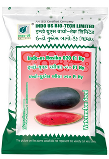 Watermelon Indo US Rasika 020 (Ice Box)