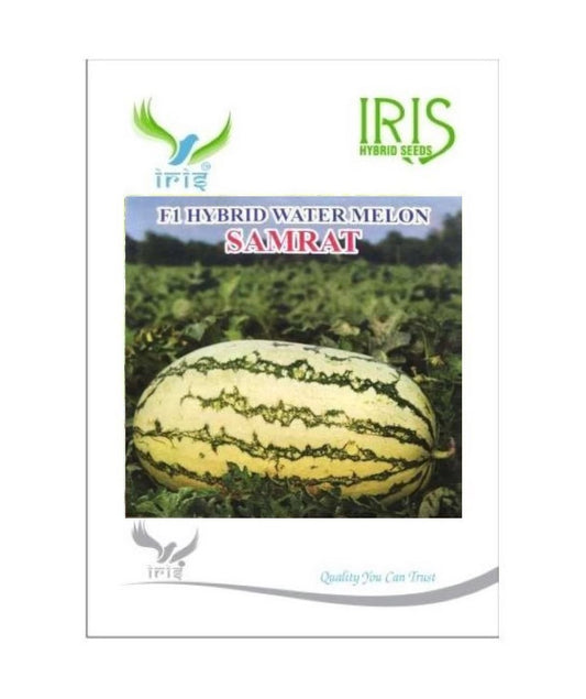 Watermelon F1 Iris Samrat (Icebox Segment)