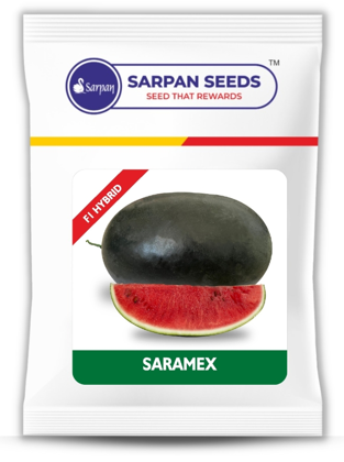 Watermelon F1 Saramex (Icebox)