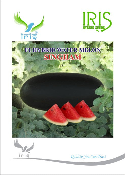 Watermelon F1 Iris Singham