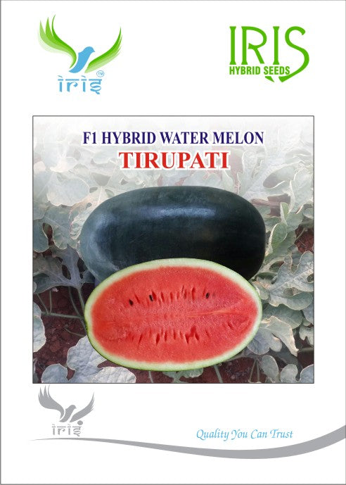 Watermelon F1 Iris Tirupati (Icebox Segment)