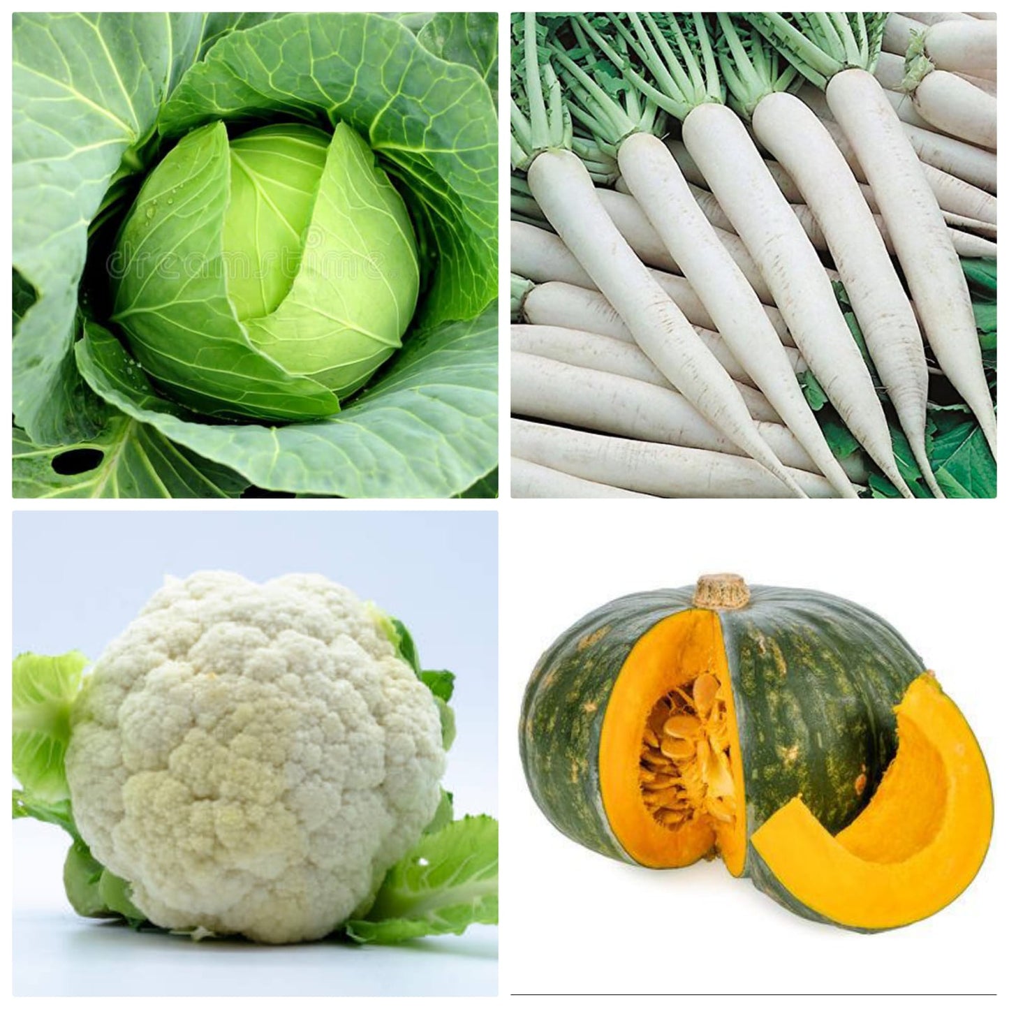 Agromate Combo Kitchen Garden Pack (16 Vegetable OP Varieties)