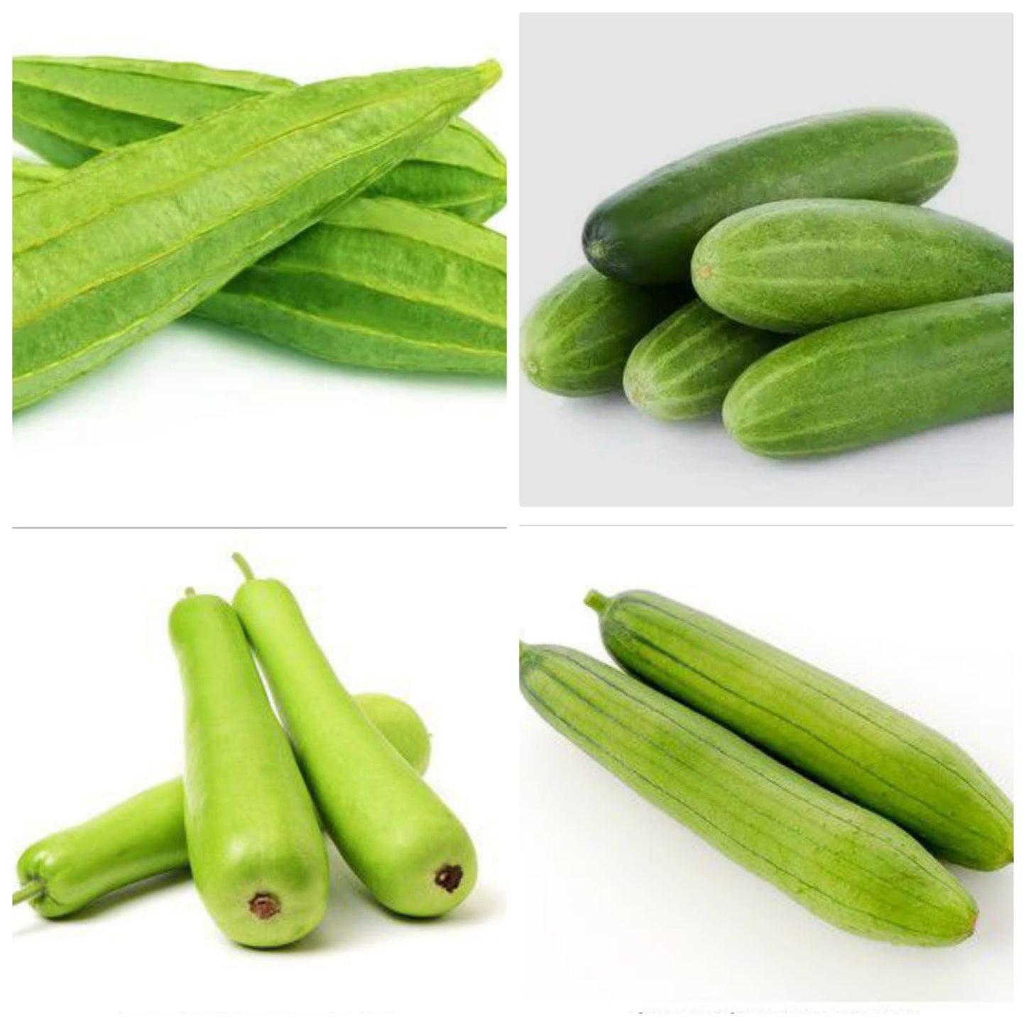 Agromate Combo Kitchen Garden Pack (16 Vegetable OP Varieties)