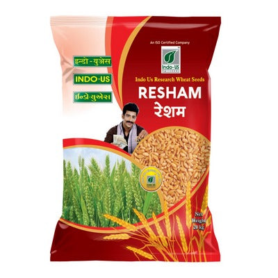 Wheat Indo US-Resham