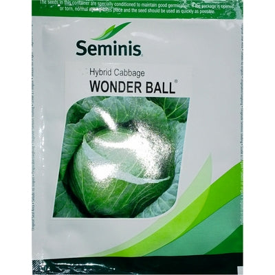 Cabbage / Patta Gobi WonderBall
