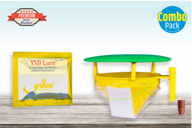 Combo Pack of Funnel Pheromone Trap + YSB Pheromone Lure