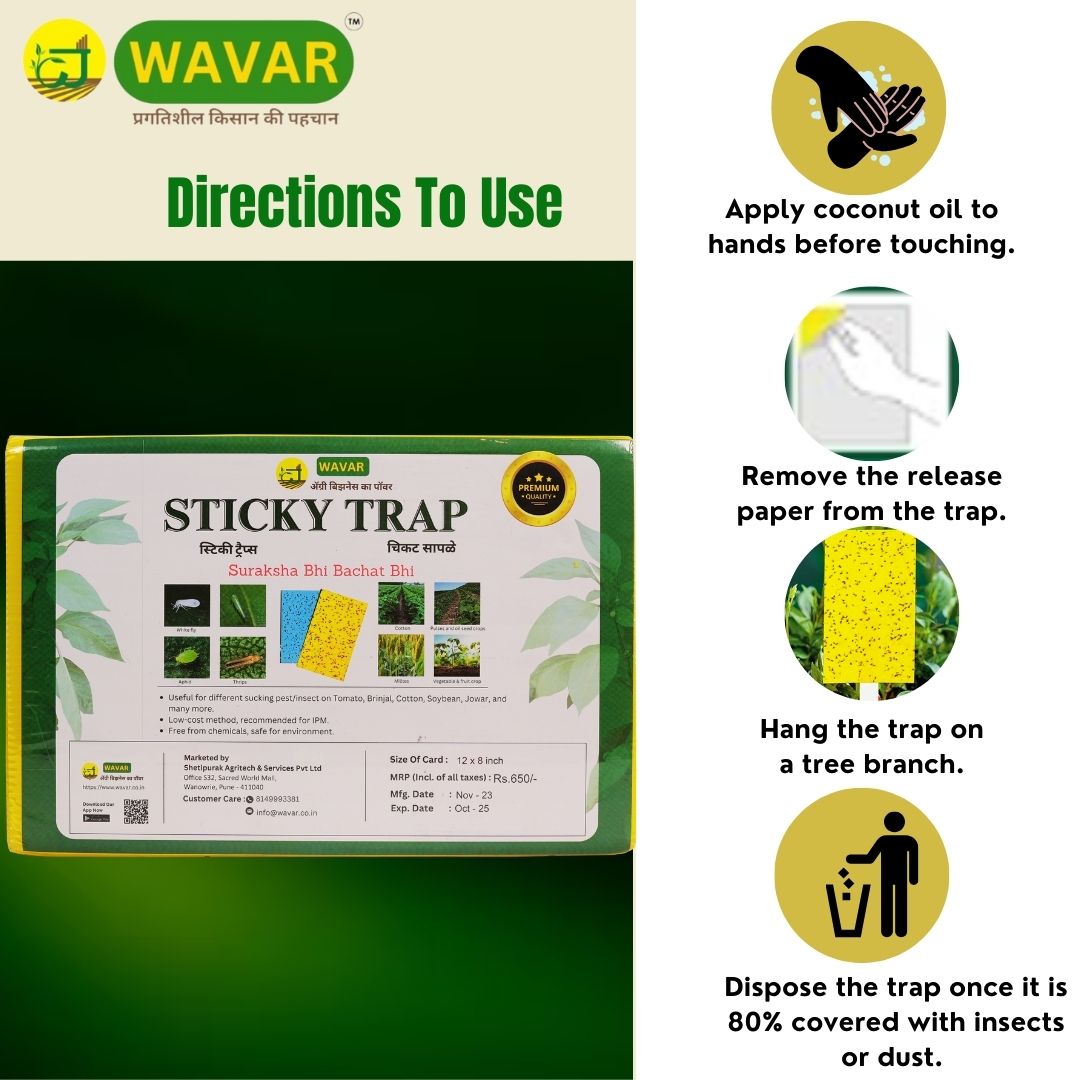 Wavar Yellow Sticky Trap/ Insect trap for Thrips, white flies, for garden  25 sheet in bundle