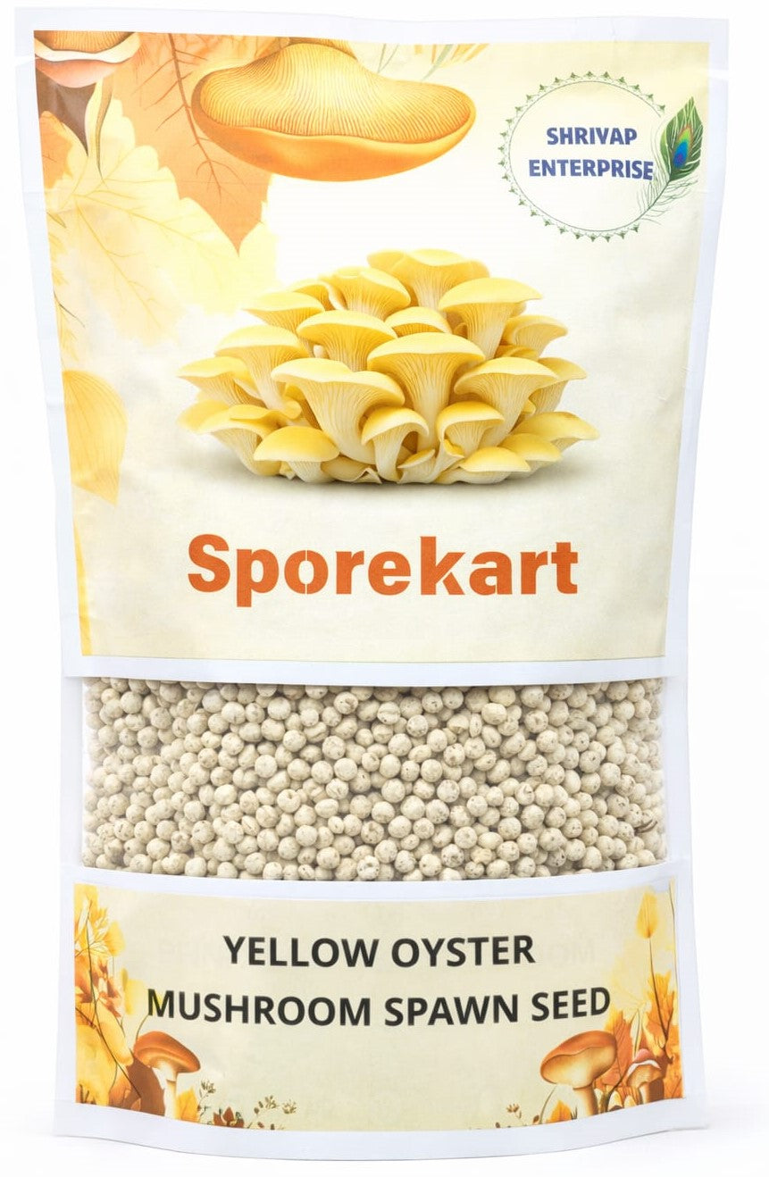 SporKart Shroomness Yellow Oyster Mushroom Spawn (Seeds)