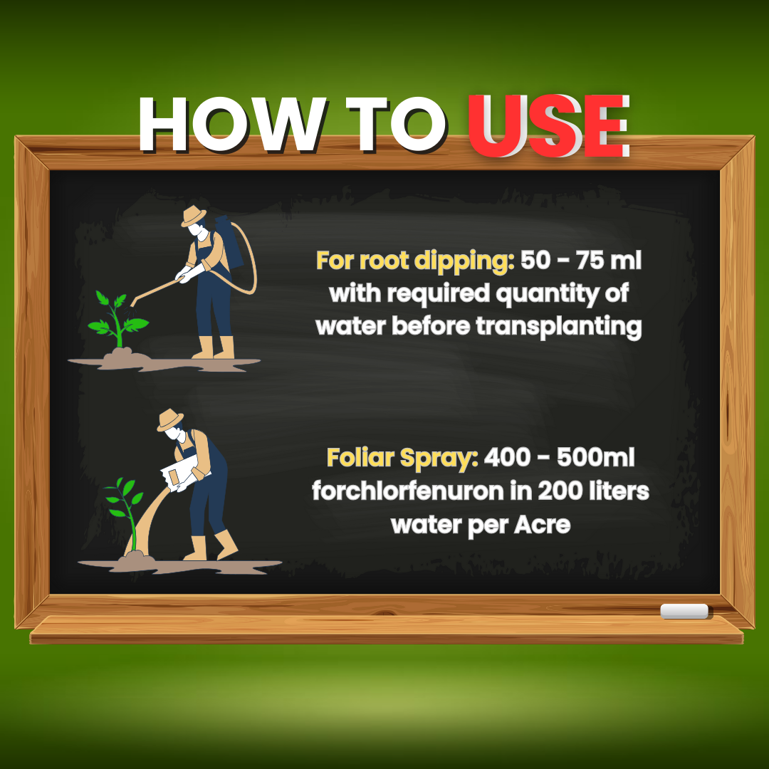 Katyayani Zinc Sulphate 33% | Monohydrate Micro Nutrient