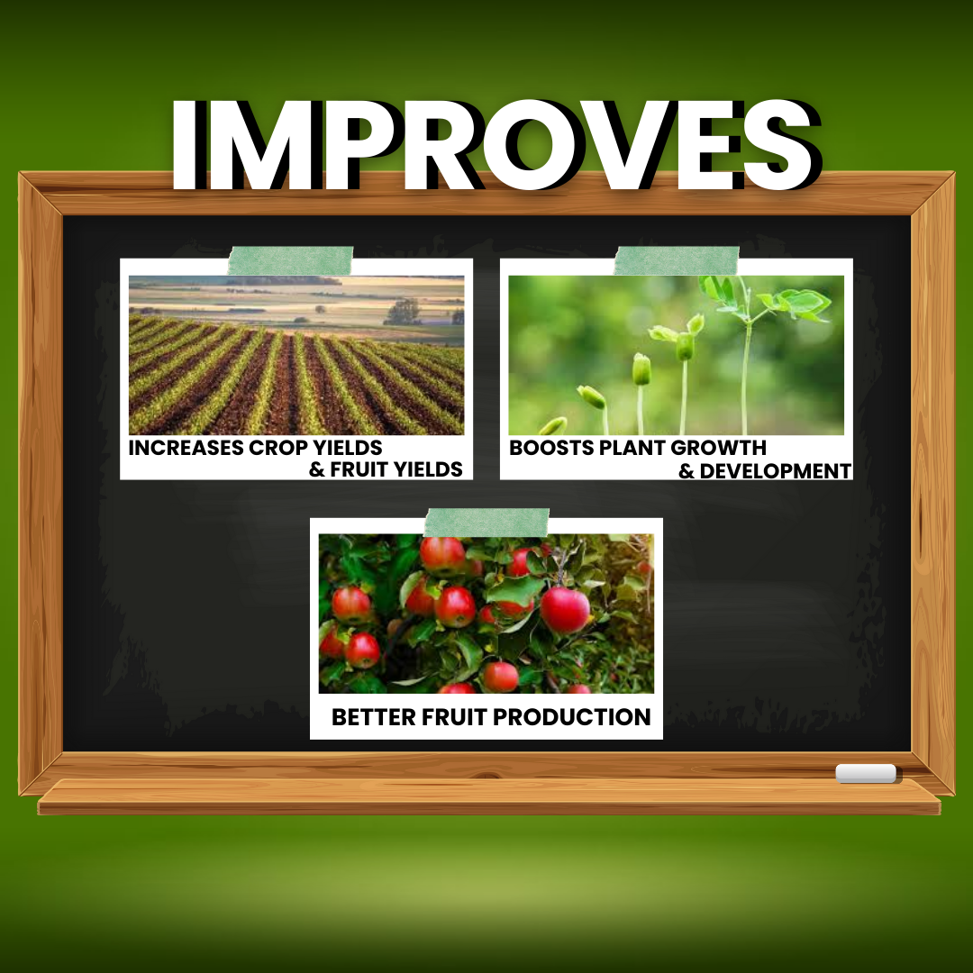 Katyayani Zinc Sulphate 33% | Monohydrate Micro Nutrient