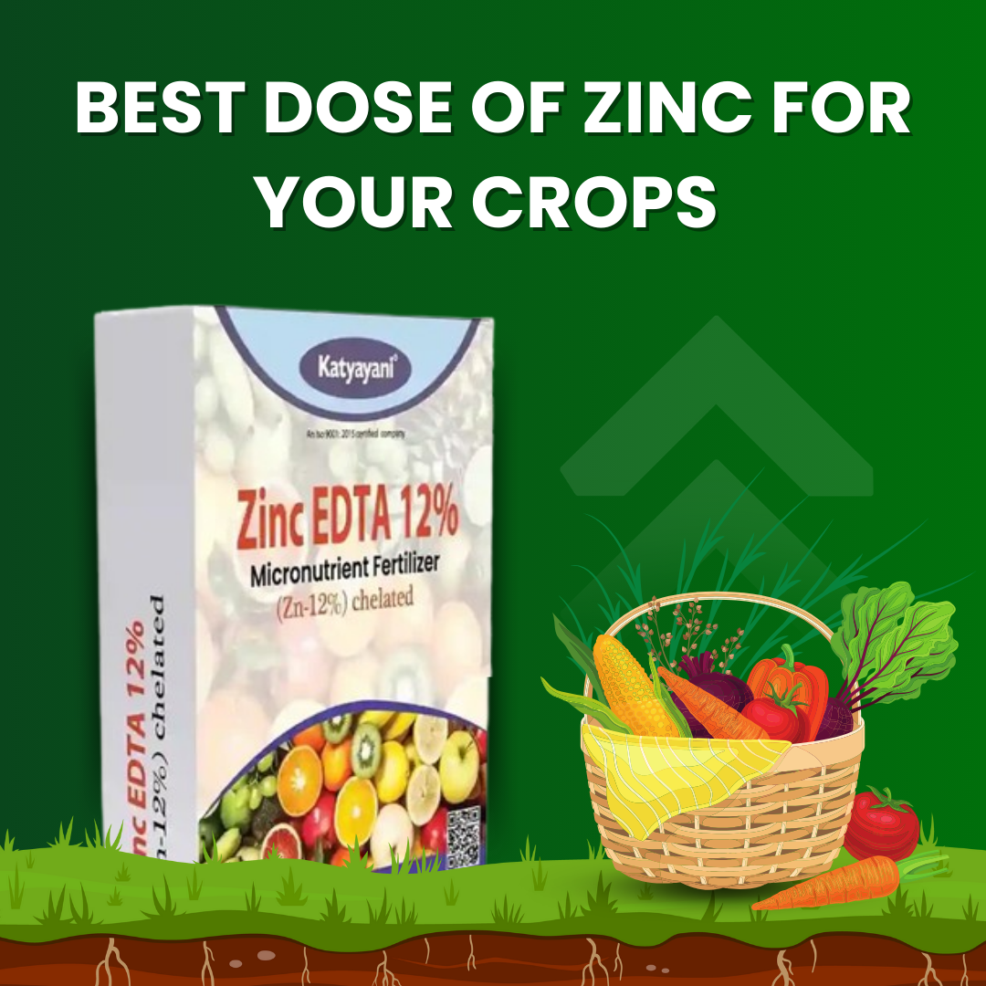 Katyayani Zinc 12% EDTA Fertilizer