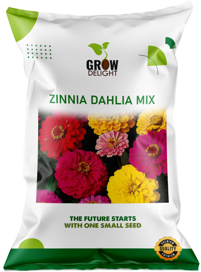 Grow Delight Imported Zinnia Dahlia Mix - 300 seeds
