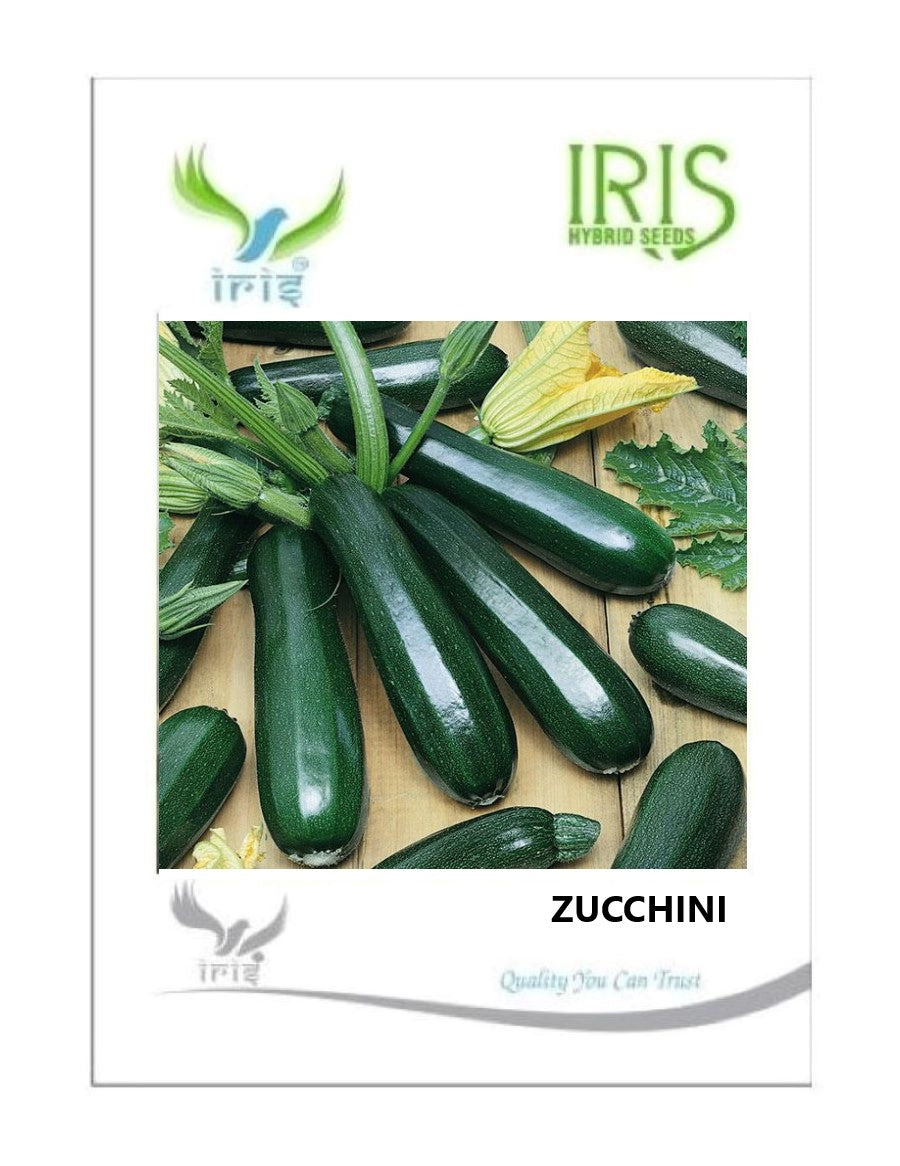 Iris F1 Zucchini 10 Seeds