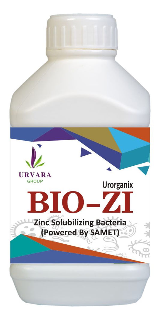 Biozi - Zinc Solubilizing Bacteria